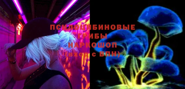 ешки Абинск